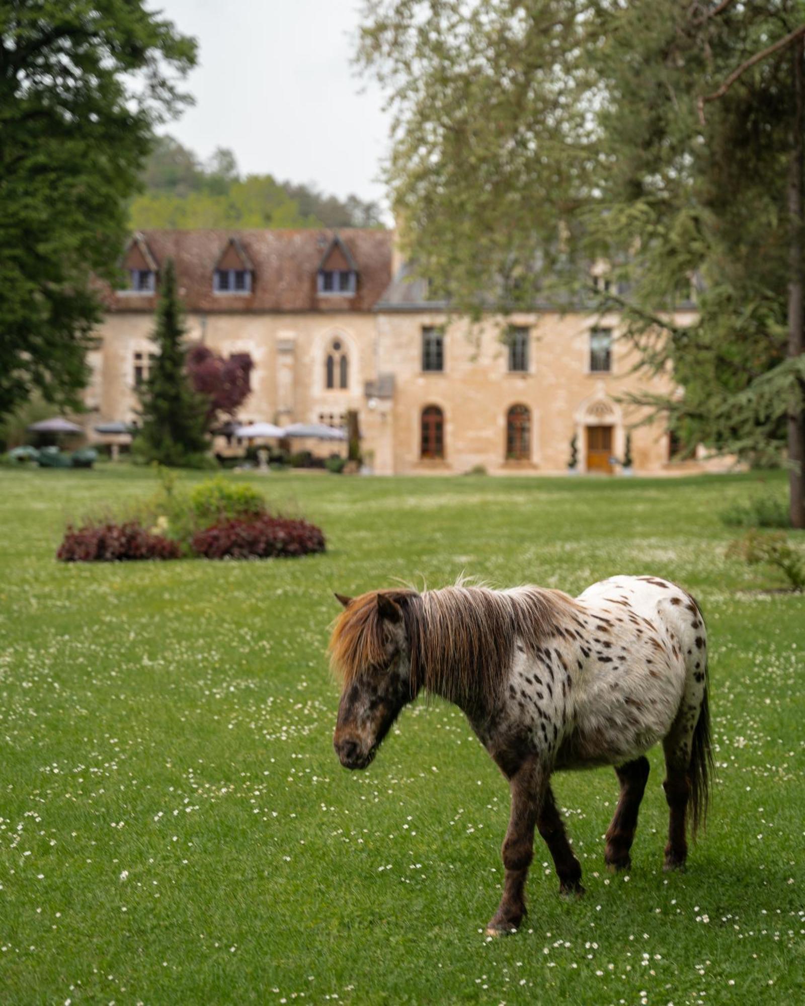 Hotel Abbaye de la Bussière Esterno foto