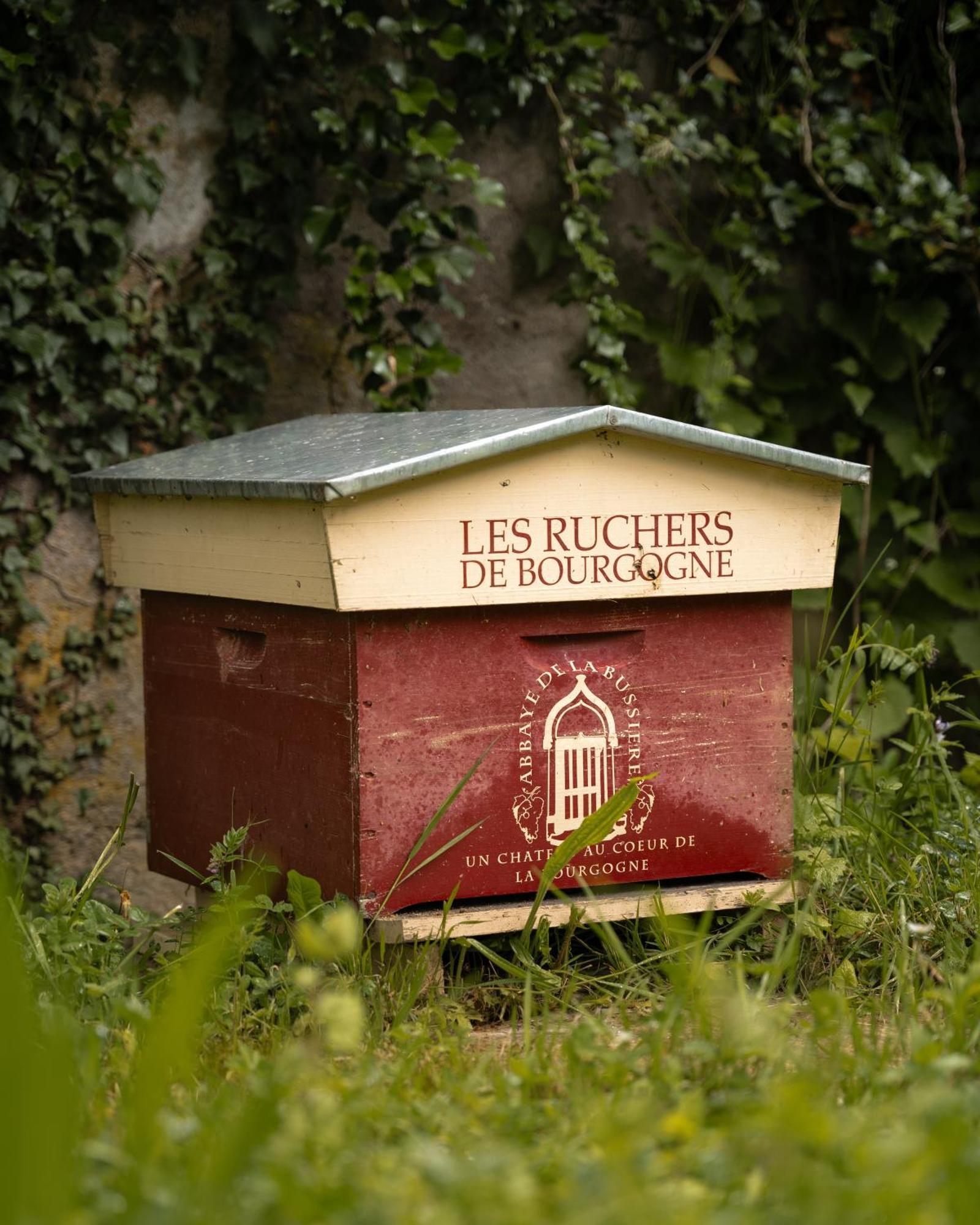 Hotel Abbaye de la Bussière Esterno foto